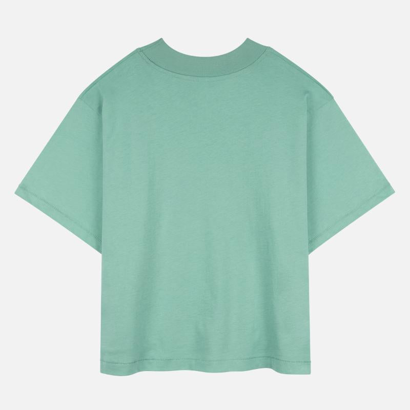 Seal Graphics Tee Stylish Marine Animal Lovers