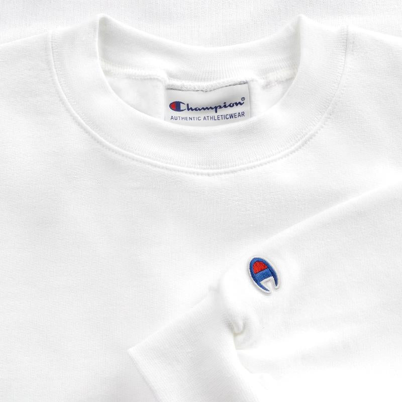 Clever Children's Dragon With Wings