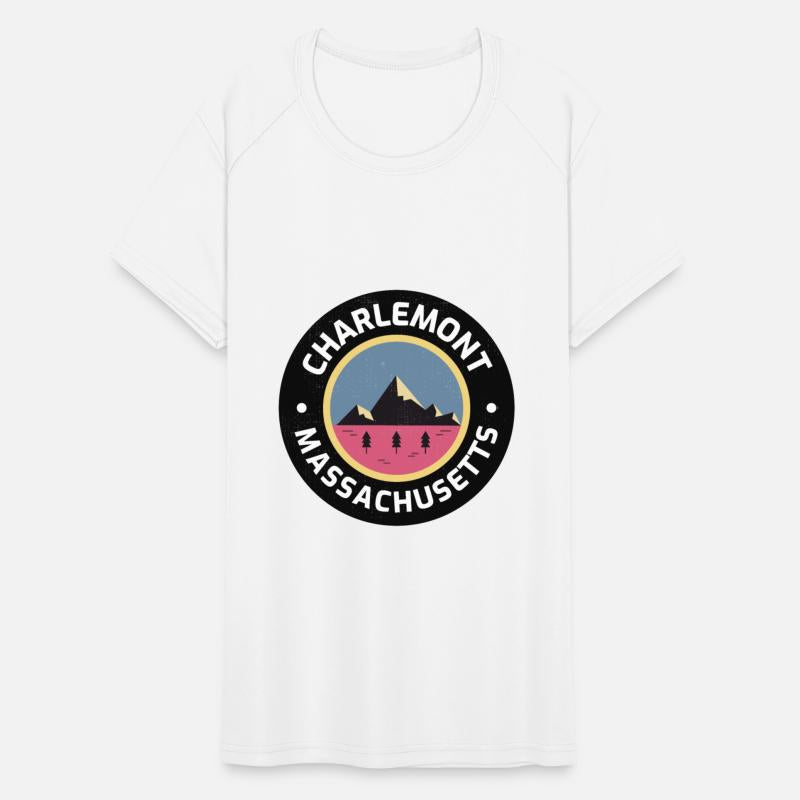 Charlemont Massachusetts State Lovers Mountains