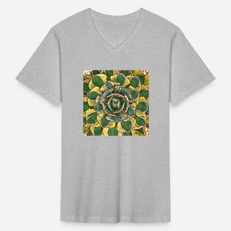 Colorful Succulents 1841