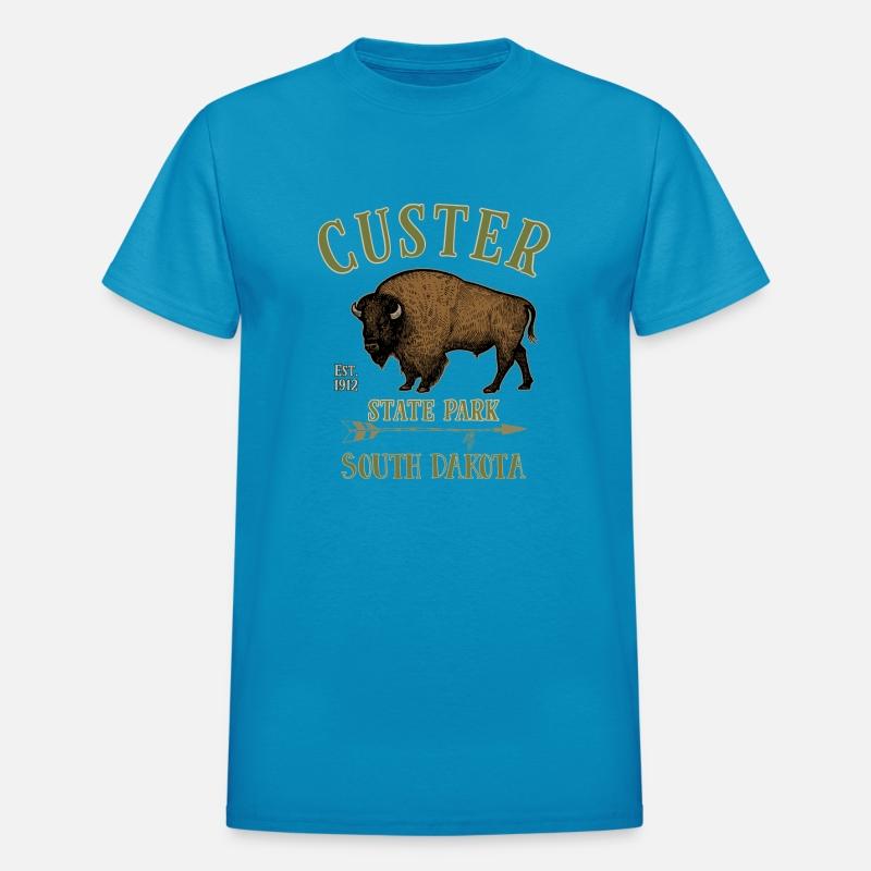 Custer State Park Bison South Dakota