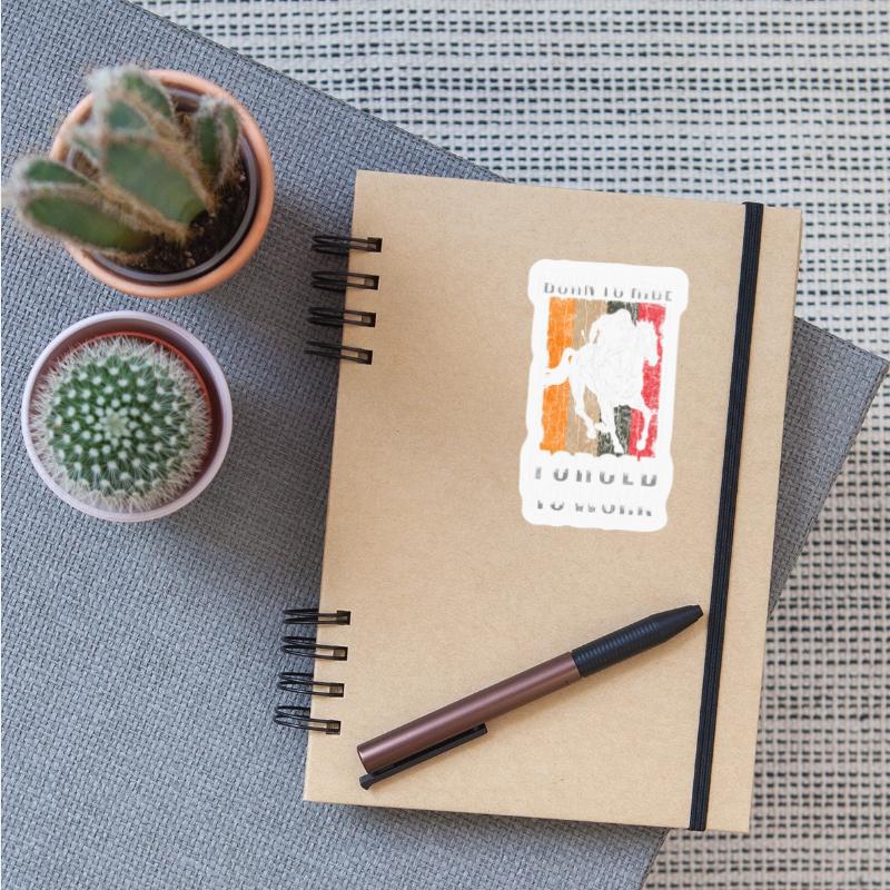 Horse Girl Riders Mustang Stallions