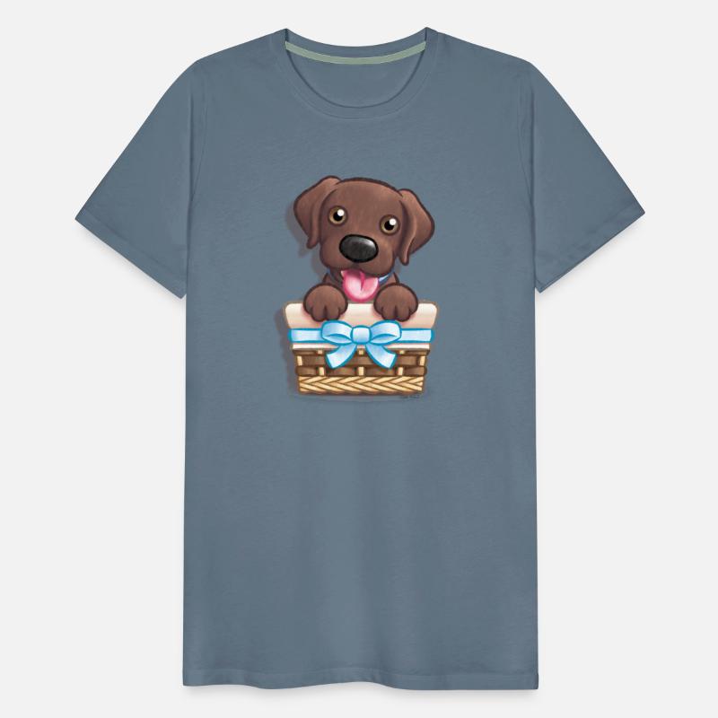 Labrador BOY in a Basket (Chocolate)