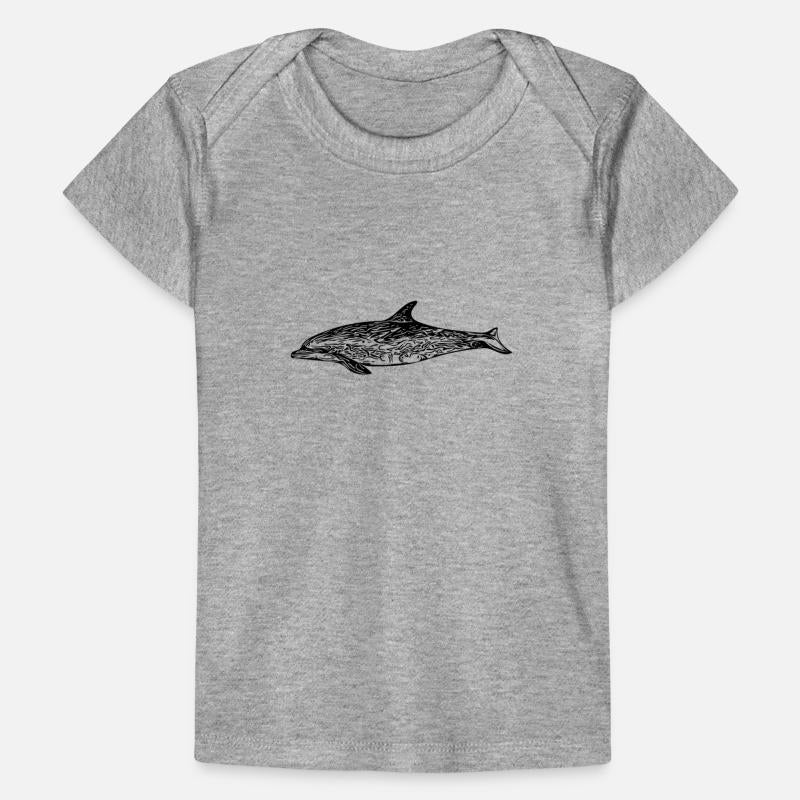 Small Dolphin - Toothed Whale - Marine Mammal