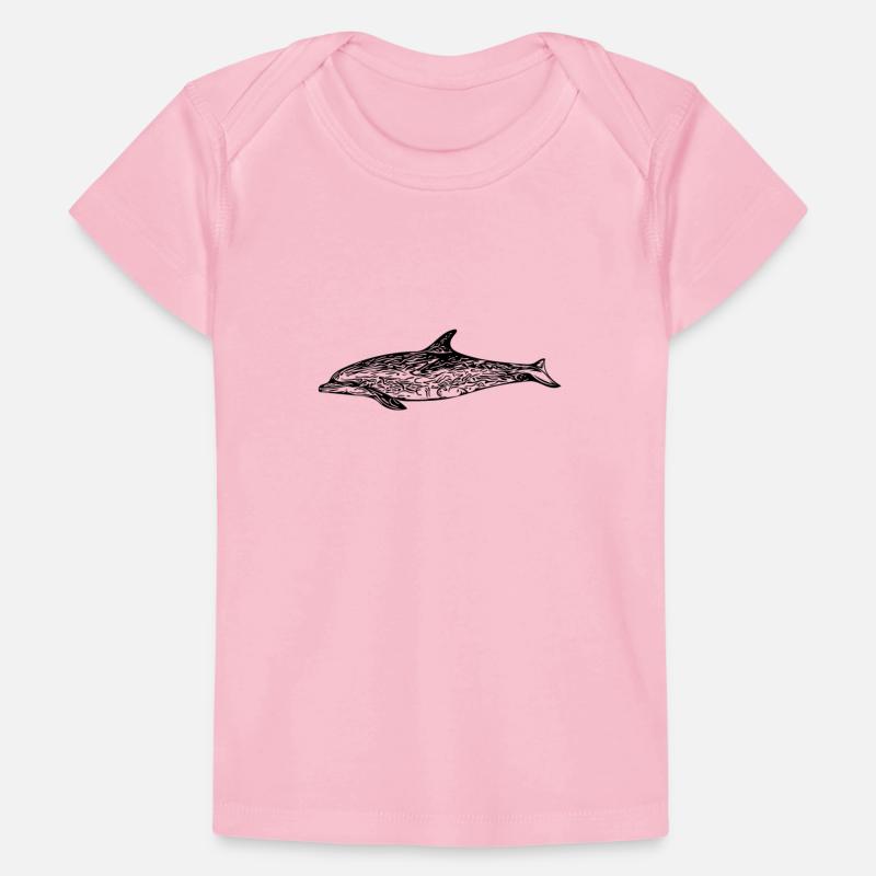 Small Dolphin - Toothed Whale - Marine Mammal