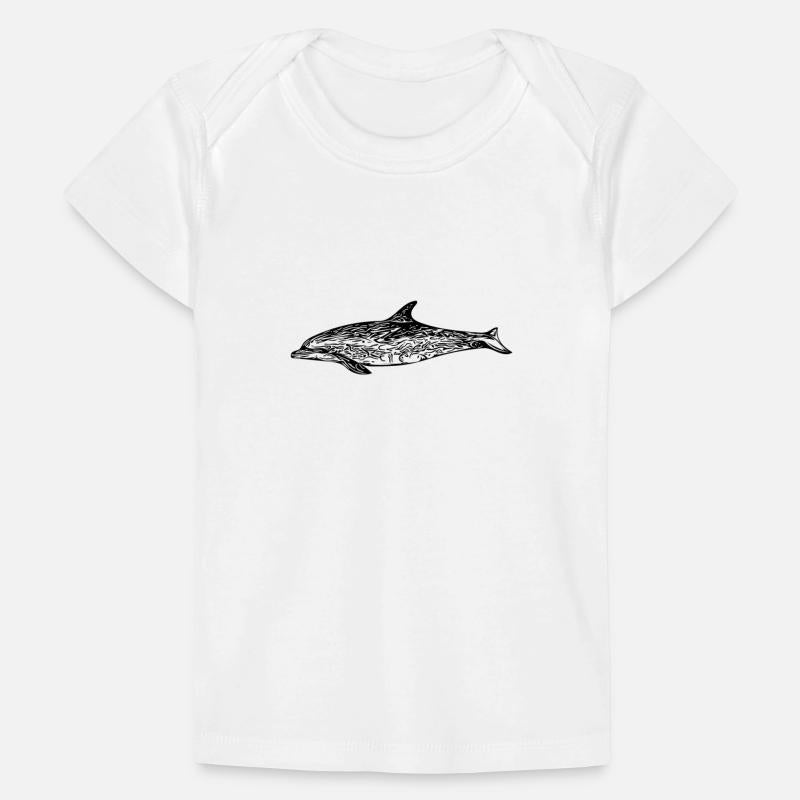 Small Dolphin - Toothed Whale - Marine Mammal