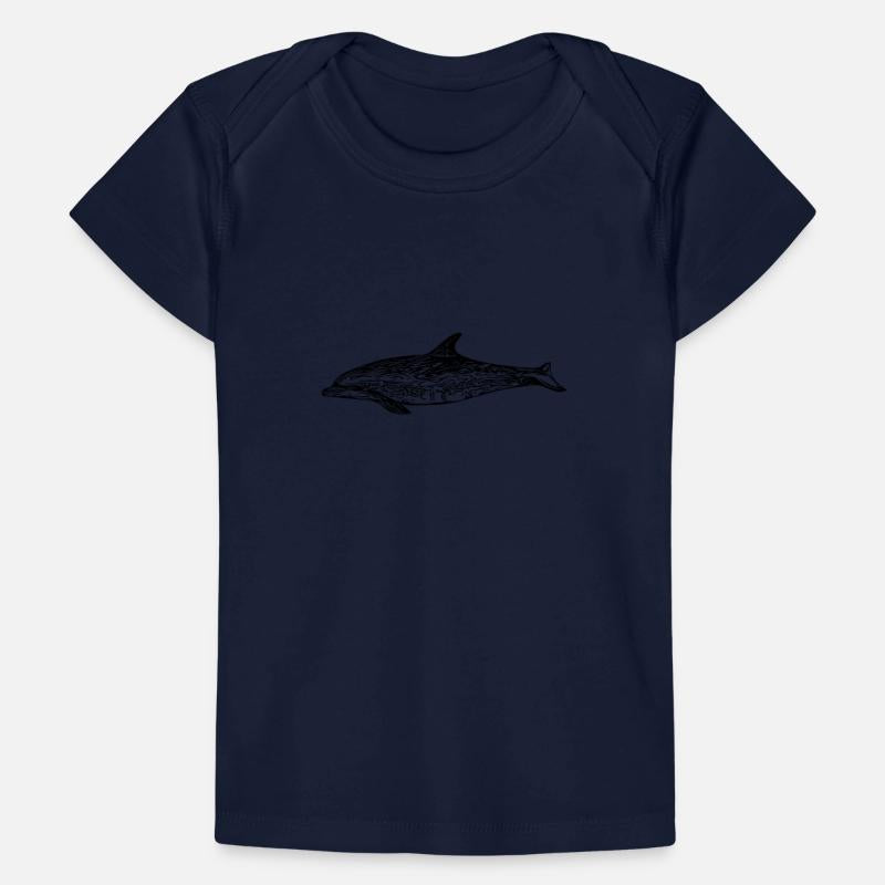 Small Dolphin - Toothed Whale - Marine Mammal