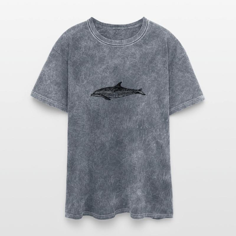 Small Dolphin - Toothed Whale - Marine Mammal